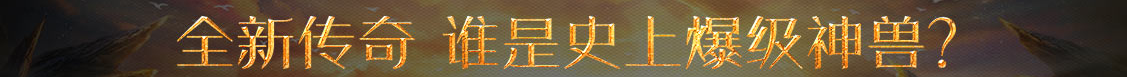 织金县娱乐网